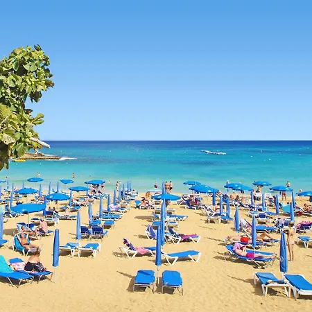 Artemis - 30m From Pernera Vilă